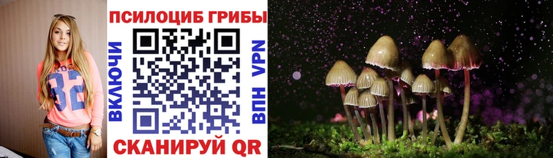 Псилоцибиновые грибы прущие грибы  Олёкминск 